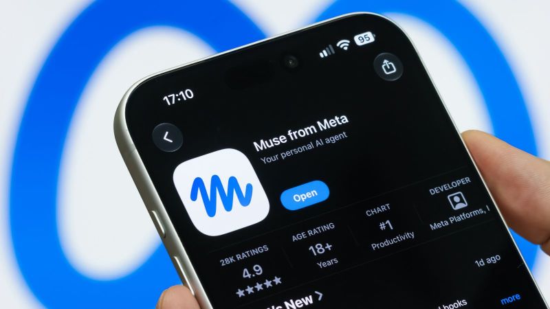 Muse de Meta